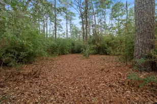 Tbd Winding Hill, Magnolia, TX 77354 - Photo 4