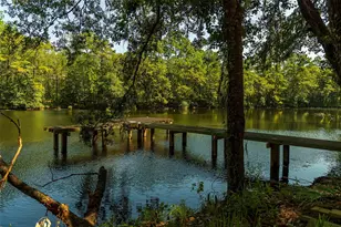 7519 Congress Trl Wy, Porter, TX 77365 - Photo 48