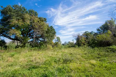 Tbd Highway 36      75 Acres, Jones Creek, TX 77541 - Photo 8