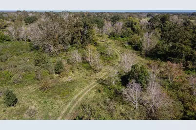 Tbd Highway 36      75 Acres, Jones Creek, TX 77541 - Photo 22