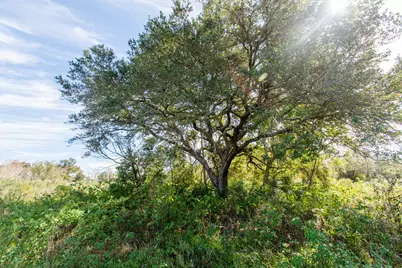 Tbd Highway 36      75 Acres, Jones Creek, TX 77541 - Photo 16