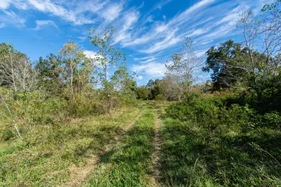 Tbd Highway 36      75 Acres, Jones Creek, TX 77541 - Photo 4