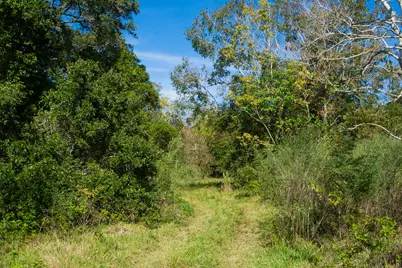 Tbd Highway 36      75 Acres, Jones Creek, TX 77541 - Photo 18