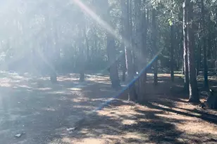 284 County Rd 3405, Cleveland, TX 77327 - Photo 24