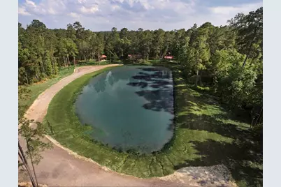 14-37-7 Dipping Vat Road, New Waverly, TX 77358 - Photo 14