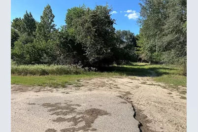 0 Trinity Tr 35 Lot 12, Trinity, TX 75862 - Photo 2