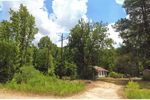 0 Old Hwy 75, Willis, TX 77378 - Photo 4