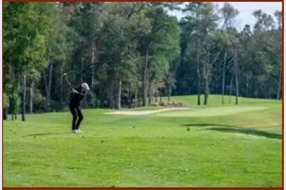 9434 Pacific Crest Court, Porter, TX 77365 - Photo 46