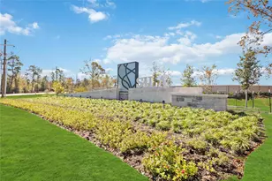 905 Pertuso Ln, Huffman, TX 77336 - Photo 30