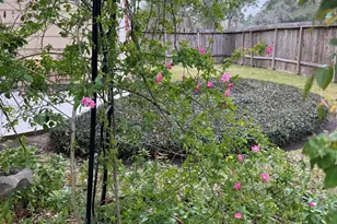 3603 Shipman Ln, Spring, TX 77388 - Photo 46