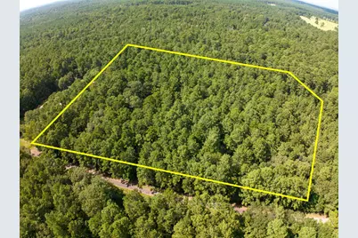 Tbd Cotten Lane, Zavalla, TX 75980 - Photo 1