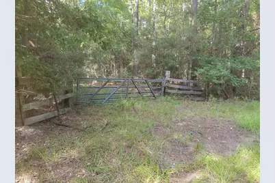Tbd Cotten Lane, Zavalla, TX 75980 - Photo 6