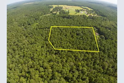 Tbd Cotten Lane, Zavalla, TX 75980 - Photo 2