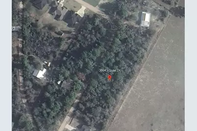 38043 Quail Drive, Hempstead, TX 77445 - Photo 2