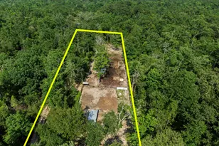 17131 Carrol Ln, Willis, TX 77378 - Photo 48