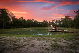 17131 Carrol Ln, Willis, TX 77378 - Photo 42