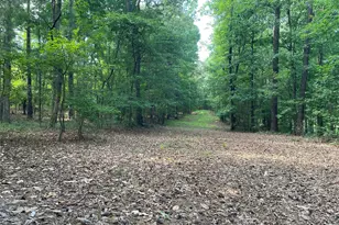 2983 Mallorysville Rd, Other, GA 30668 - Photo 40