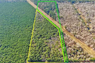 0 & 00 Pelican Rd, Shepherd, TX 77371 - Photo 1