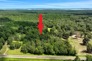 Tbd Hwy 156, Coldspring, TX 77331 - Photo 1