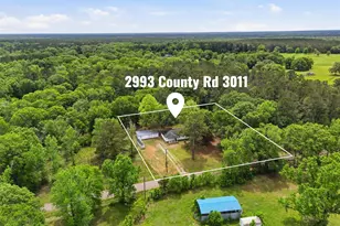 2993 County Rd 3011, Dayton, TX 77535 - Photo 34