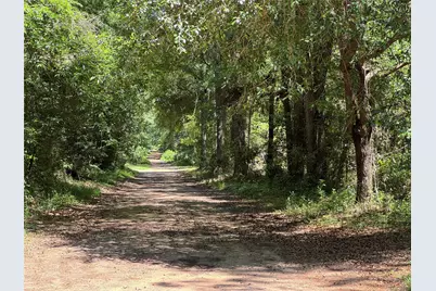 Tbd Holly Grove Road, Livingston, TX 77351 - Photo 1