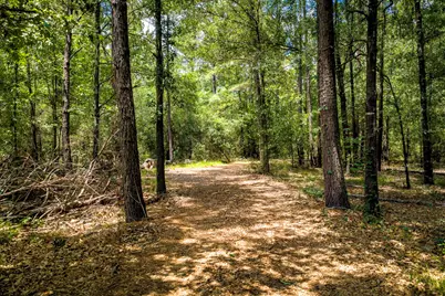 1204 Mangum Road, Livingston, TX 77351 - Photo 14