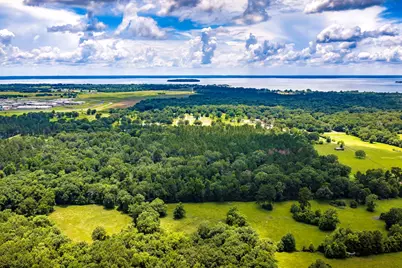 1204 Mangum Road, Livingston, TX 77351 - Photo 6