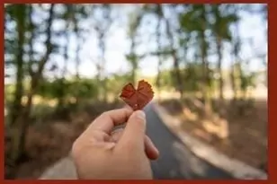 22218 Junction Peak Dr, Porter, TX 77365 - Photo 34