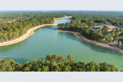 22218 Junction Peak Drive, Porter, TX 77365 - Photo 28