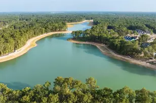 22218 Junction Peak Dr, Porter, TX 77365 - Photo 28