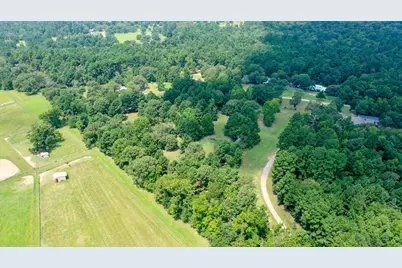 8374 Cattle Trail Road, Midway, TX 75852 - Photo 4