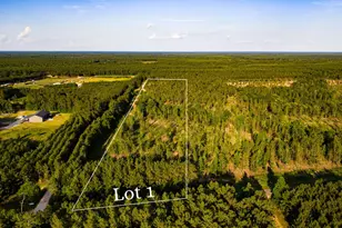 Tbd Lot 1 Fm 1276, Livingston, TX 77351 - Photo 1