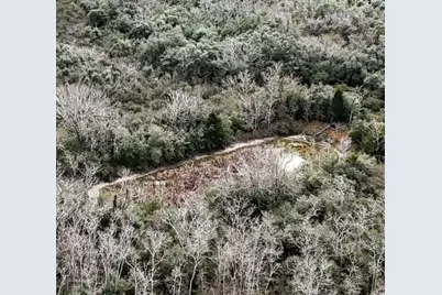 0 County Road 126, Van Vleck, TX 77482 - Photo 6