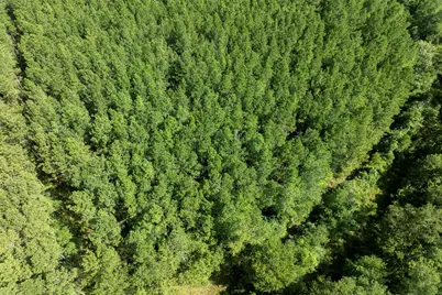 0 Huntsman, Huntsville, TX 77340 - Photo 16