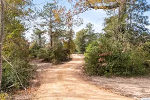 17300 FM943, Livingston, TX 77351 - Photo 16