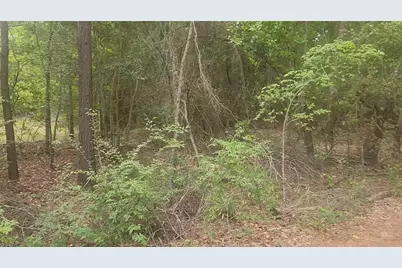 Lot 1 Thornwood Drive, Plantersville, TX 77363 - Photo 38
