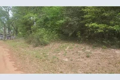 Lot 1 Thornwood Drive, Plantersville, TX 77363 - Photo 36