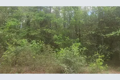 Lot 1 Thornwood Drive, Plantersville, TX 77363 - Photo 34