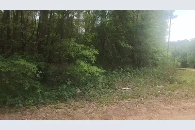 Lot 1 Thornwood Drive, Plantersville, TX 77363 - Photo 24