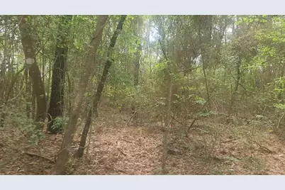 Lot 1 Thornwood Drive, Plantersville, TX 77363 - Photo 10