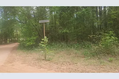 Lot 1 Thornwood Drive, Plantersville, TX 77363 - Photo 2