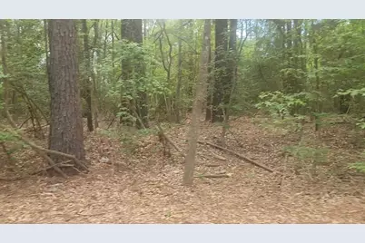 Lot 1 Thornwood Drive, Plantersville, TX 77363 - Photo 18