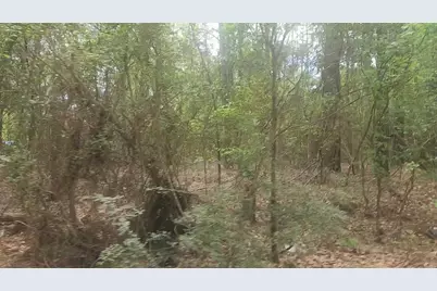 Lot 1 Thornwood Drive, Plantersville, TX 77363 - Photo 14