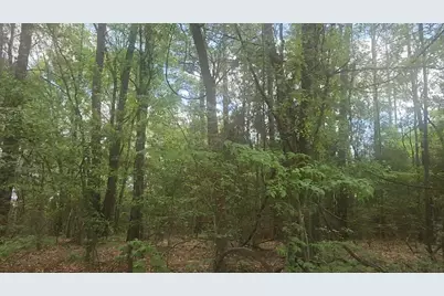 Lot 1 Thornwood Drive, Plantersville, TX 77363 - Photo 22