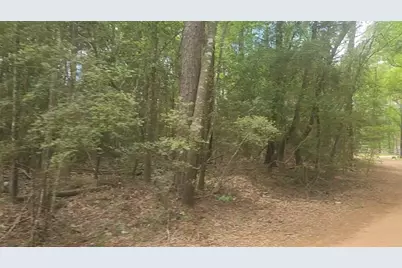 Lot 1 Thornwood Drive, Plantersville, TX 77363 - Photo 4