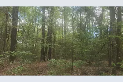 Lot 1 Thornwood Drive, Plantersville, TX 77363 - Photo 20