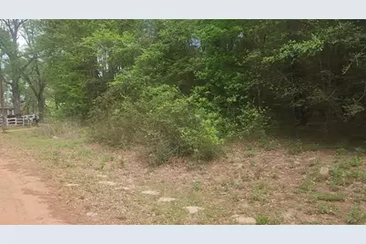 Lot 1 Thornwood Drive, Plantersville, TX 77363 - Photo 34