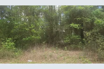 Lot 1 Thornwood Drive, Plantersville, TX 77363 - Photo 32