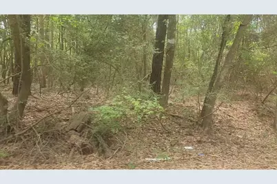 Lot 1 Thornwood Drive, Plantersville, TX 77363 - Photo 8