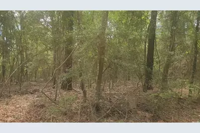 Lot 1 Thornwood Drive, Plantersville, TX 77363 - Photo 8
